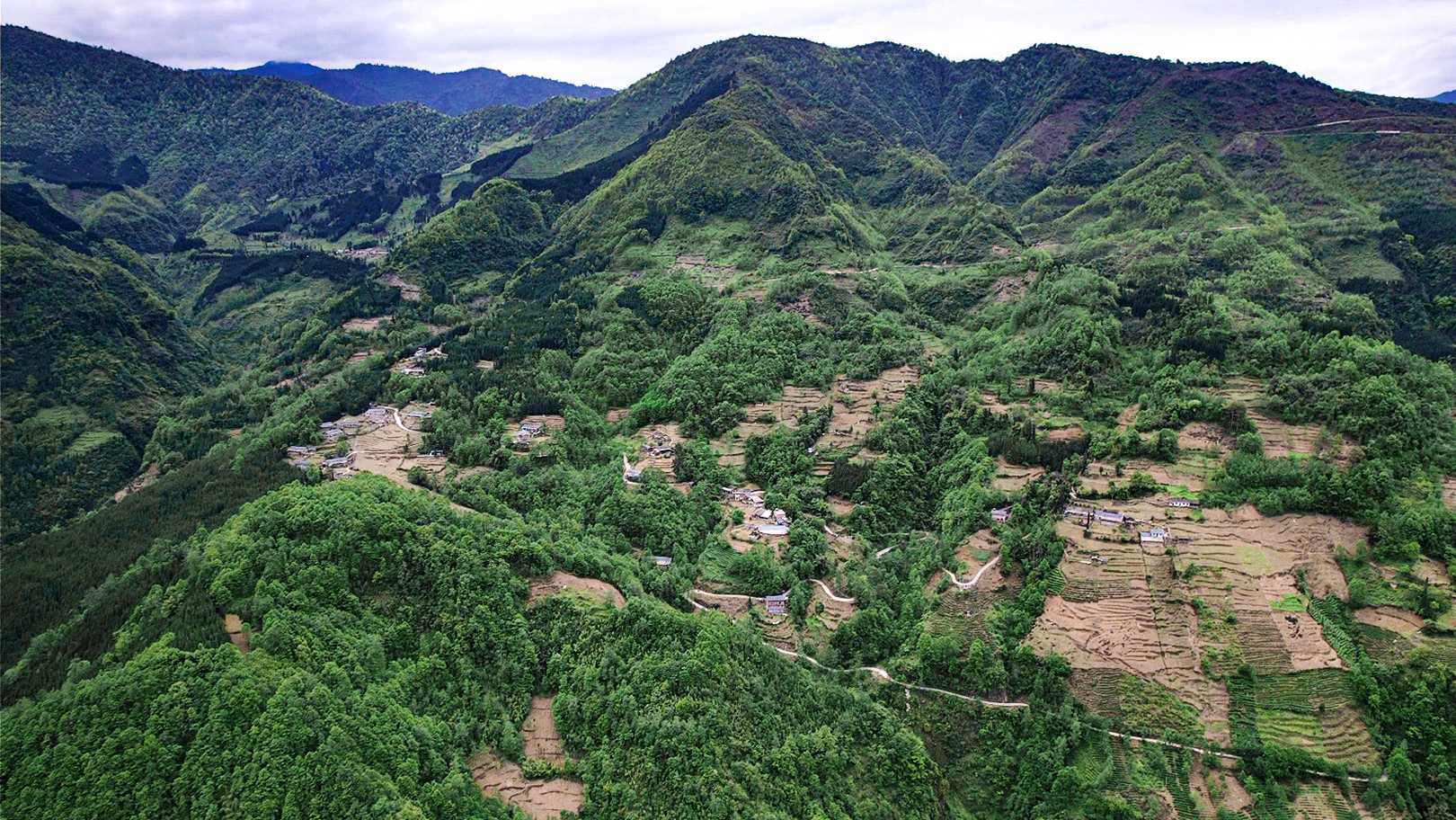 黄家坪项目.jpg